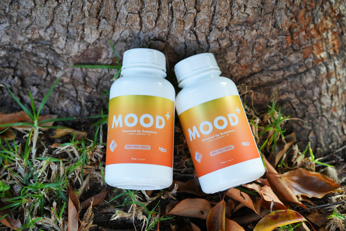 Mood+ Natural Sceletium (Kanna) Herbal Supplement